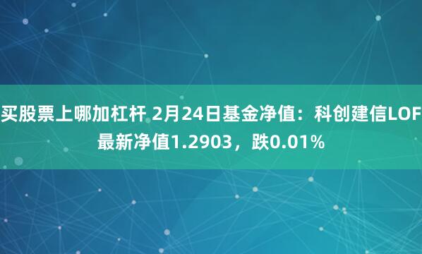 买股票上哪加杠杆 2月24日基金净值：科创建信LOF最新净值1.2903，跌0.01%